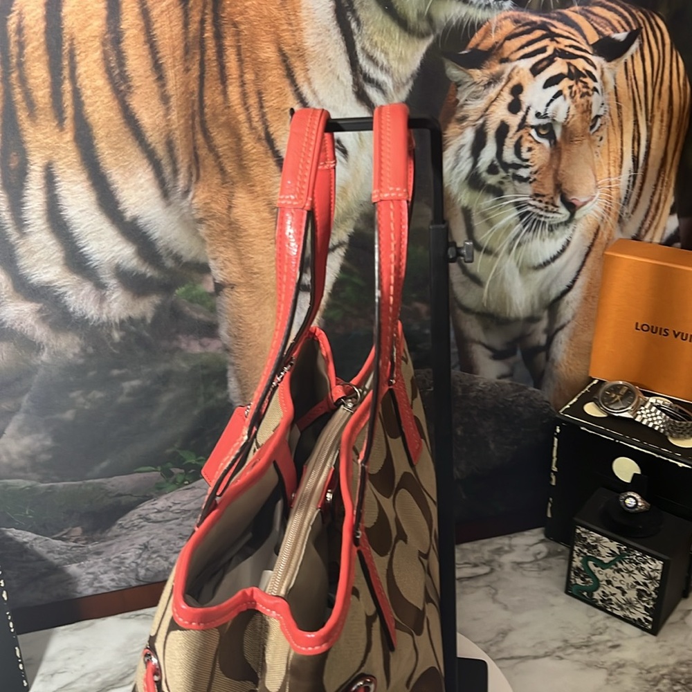 Coach Signature Stripe Carryall - Picture 5 of 16